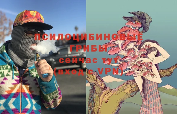 прущий лед Бронницы