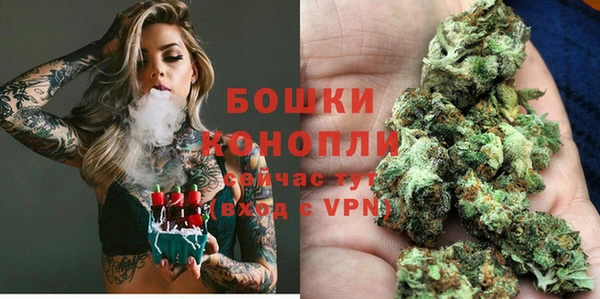 мет Бородино
