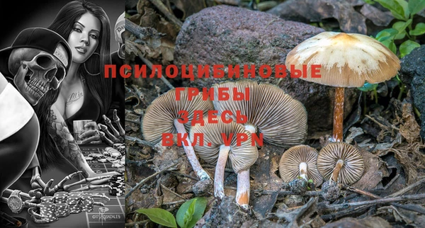 мет Бородино