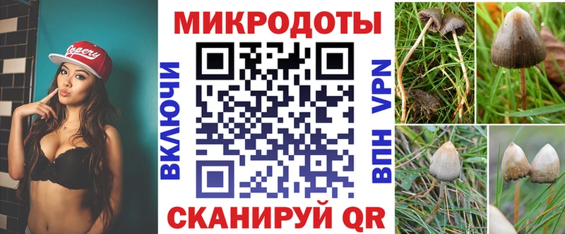 Купить  Богородицк  Галлюциногенные грибы Psilocybe 